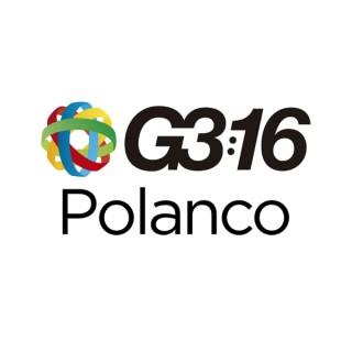 G316 Polanco