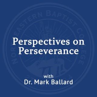 Perspectives on Perseverance