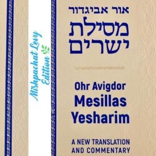 Rabbi Avigdor Miller on Mesillas Yesharim