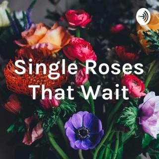 Single Roses That Wait