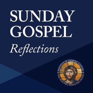 Sunday Gospel Reflections