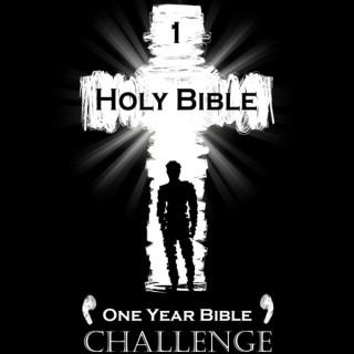 1 Year Bible Challenge