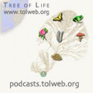 Exploring Arizona Life Science Research and Biodiversity with the Tree of Life Web Project