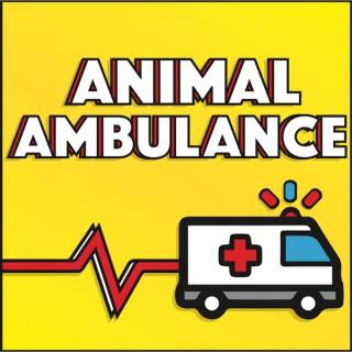 Animal Ambulance