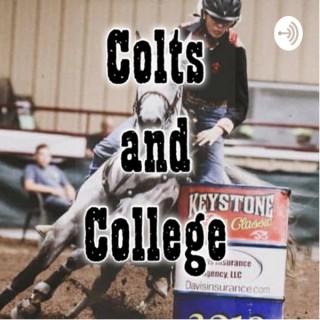 Colts and College