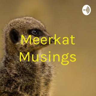 Meerkat Musings