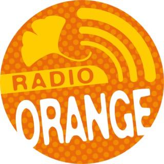 Radio Orange Cormano's show