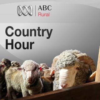 New South Wales Country Hour