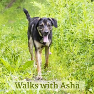 Walks with Asha
