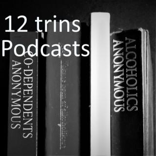 12 trins podcast