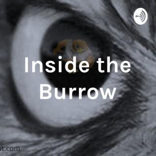Inside the Burrow
