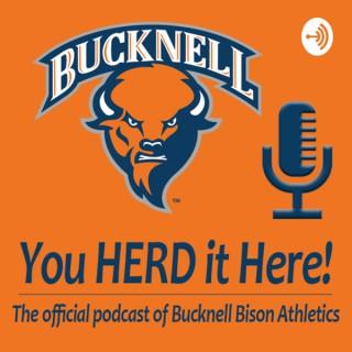 You Herd it Here Podcast