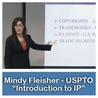 "Introduction to Intellectual Property"-Mindy Fleisher, USPTO - 2.Chapter Segments