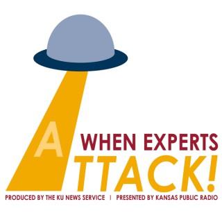 When Experts Attack!