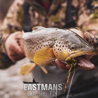 Eastmans' Fly Cast