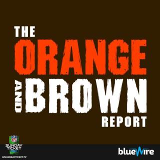 Orange and Brown Report