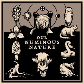 Our Numinous Nature