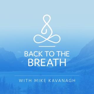 Back to the Breath