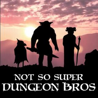 Not So Super Dungeon Bros