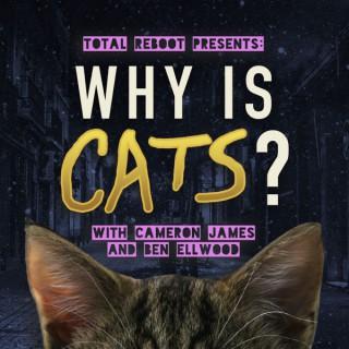 Why is Cats?