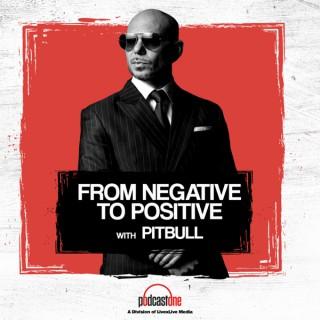 From Negative to Positive with Pitbull