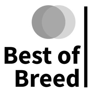 Best of Breed Stock Investing