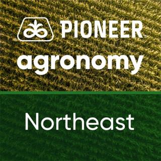 Pioneer Agronomy: Northeast