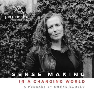 Sense-making in a Changing World