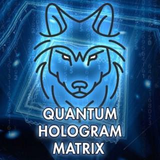Quantum Hologram Matrix