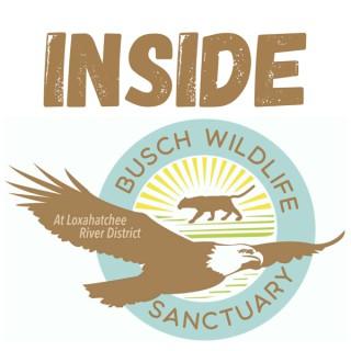 Inside Busch Wildlife Sanctuary