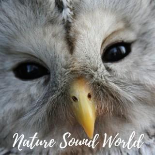 Nature Sound World