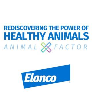 Rediscovering the Power of Healthy Animals - Animal X-Factor