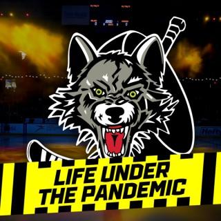Chicago Wolves: Life Under The Pandemic