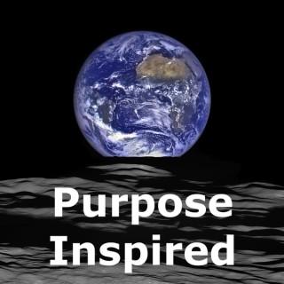 Purpose Inspired: by Wayne Visser