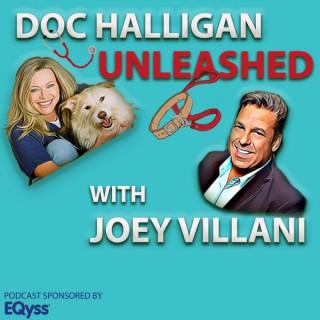 Doc Halligan Unleashed with Joey Villani