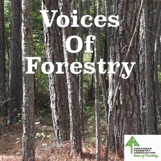 Voices of Forestry