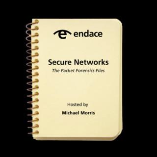 Secure Networks: Endace Packet Forensics Files