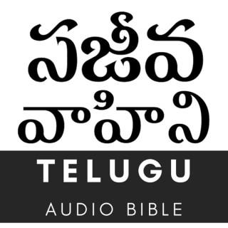 Sajeeva Vahini - Telugu Audio Bible