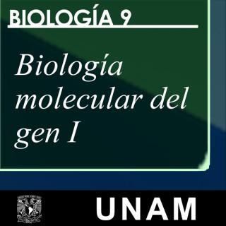 Biología 9. Biología molecular del gen