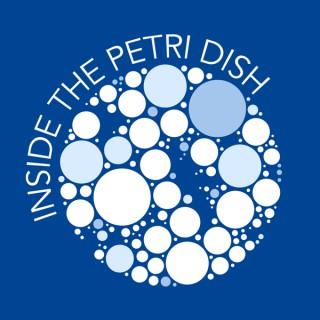 Inside The Petri Dish