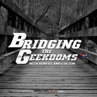 Bridging the Geekdoms