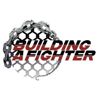Building a Fighter