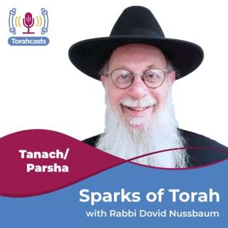 Sparks of Torah