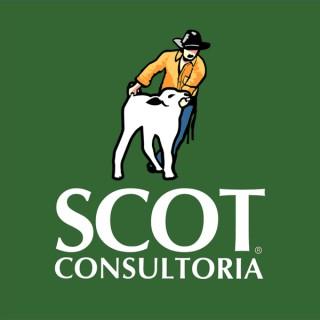 Scot Consultoria