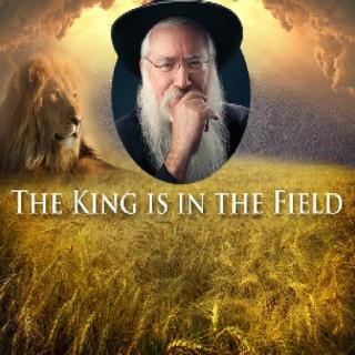 The King In The Field with Rabbi Manis Friedman