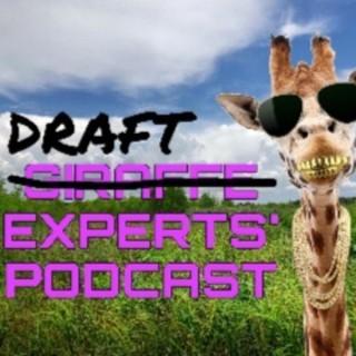 The Giraffe Experts' Podcast