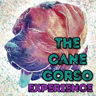 The Cane Corso Experience