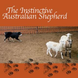 The Instinctive Australian Shepherd