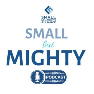Small But Mighty Podcast for Non-Profits