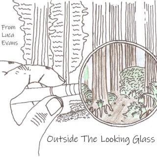 Outside the Looking Glass